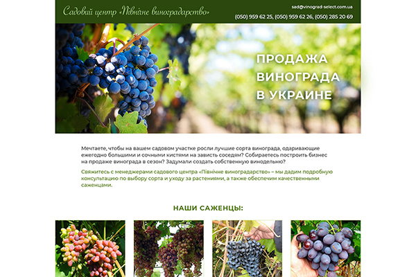 landing page от компании Бизнес-формула заказать, купить, Борисполь (Украина)