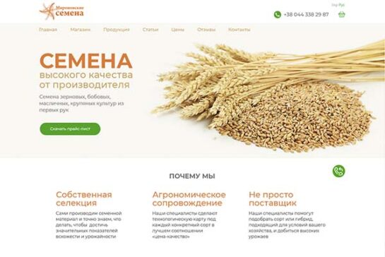 Портфоліо. Замовити сайт із результатами. Київ, Бориспіль, Україна