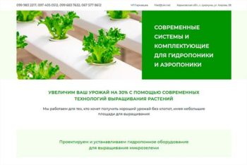 Замовити простий сайт, створення сайту візитки. Бориспіль, Київ.