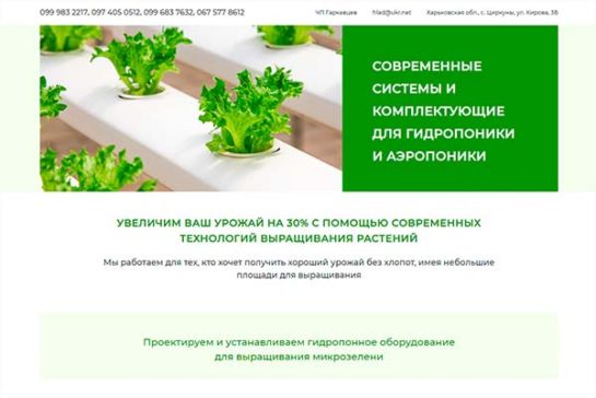 Замовити простий сайт, створення сайту візитки. Бориспіль, Київ.
